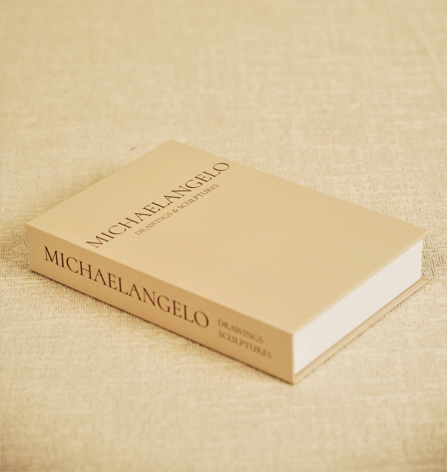 Michelangelo-Faux Accent book