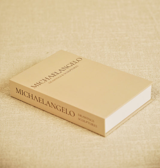 Michelangelo-Faux Accent book